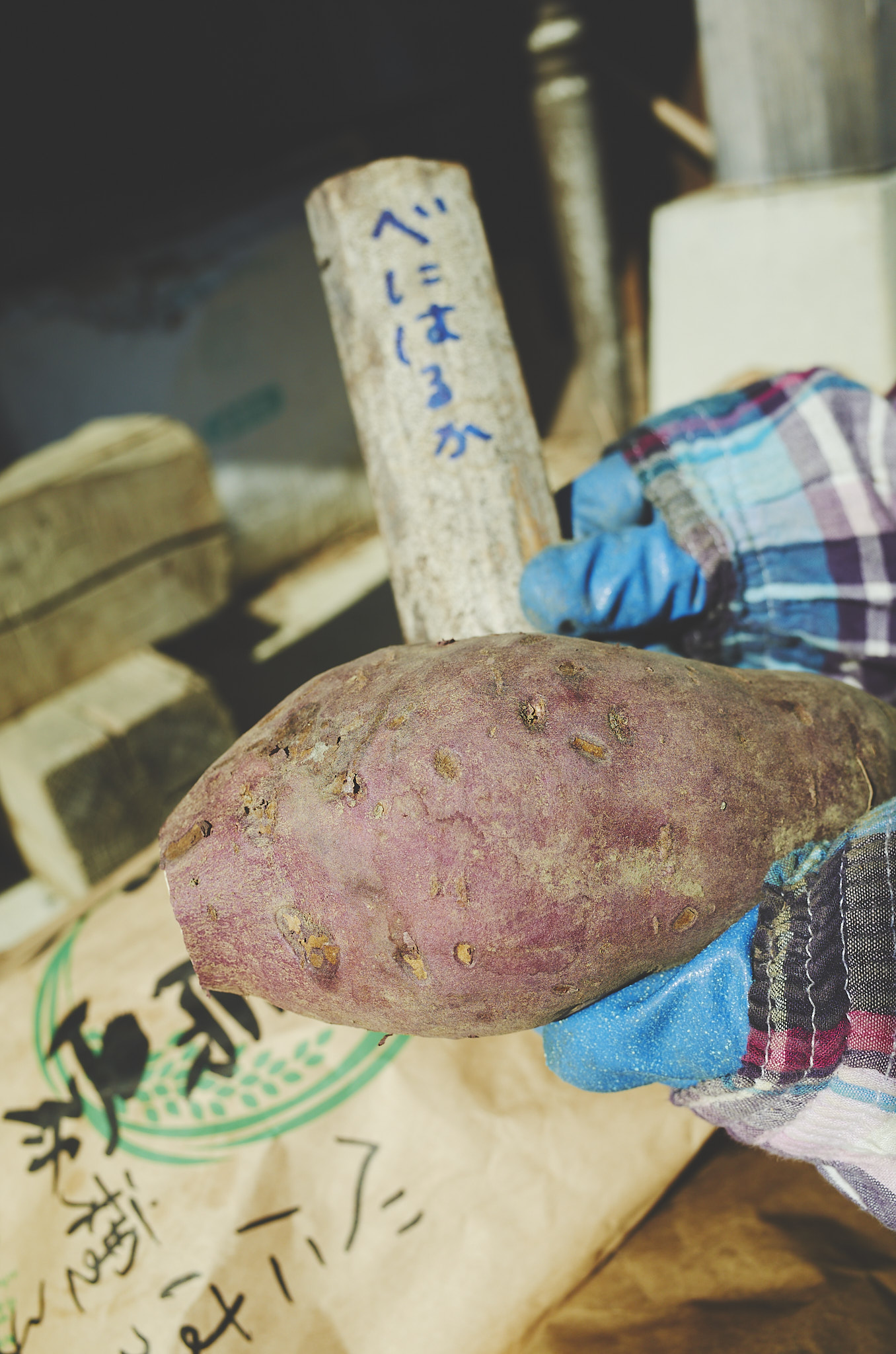 福津農園 Day32 間引き色々、続・筍掘り、サツマイモの芽出し