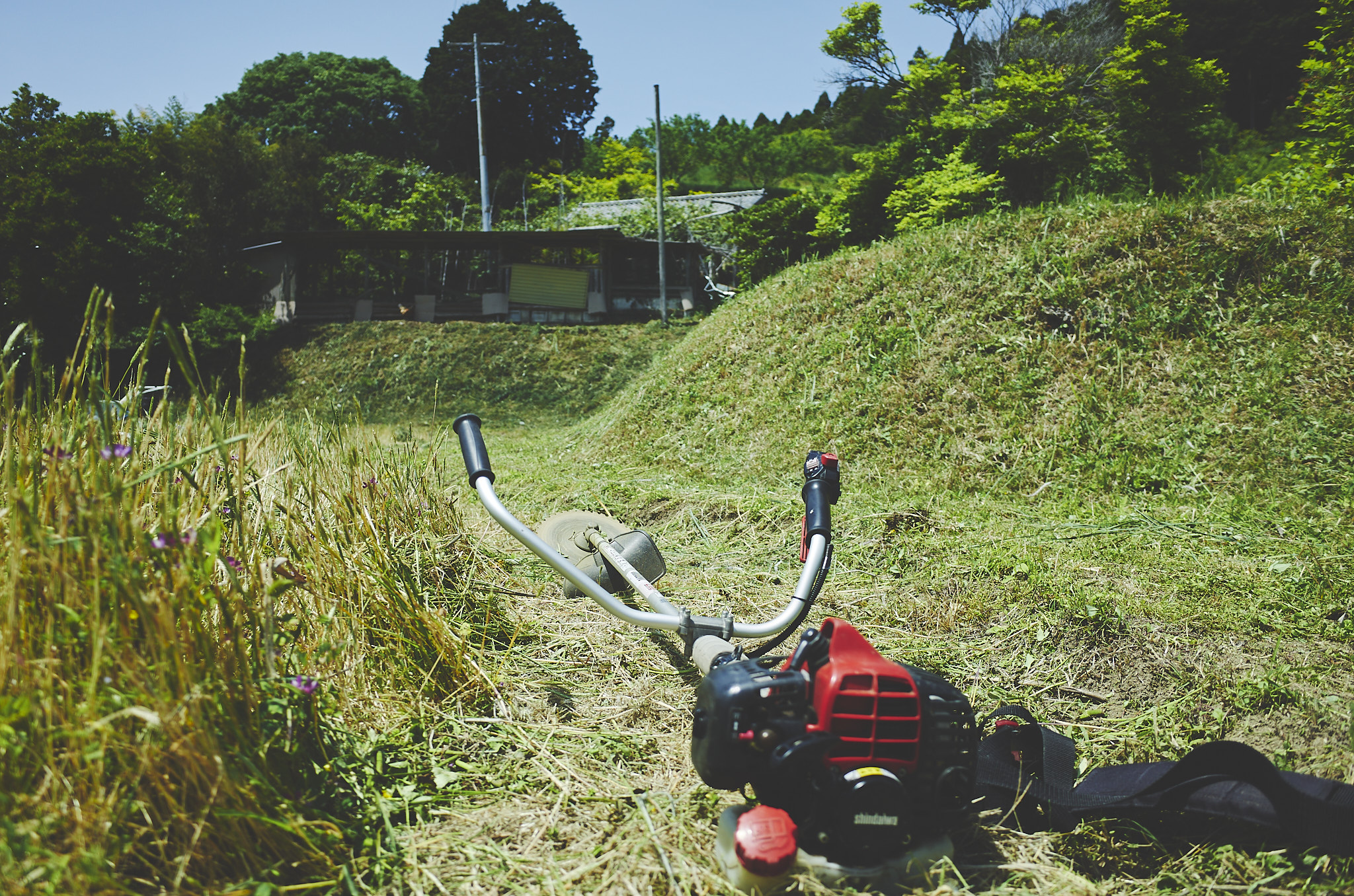 福津農園 Day46 畦の草刈り、除堀作り