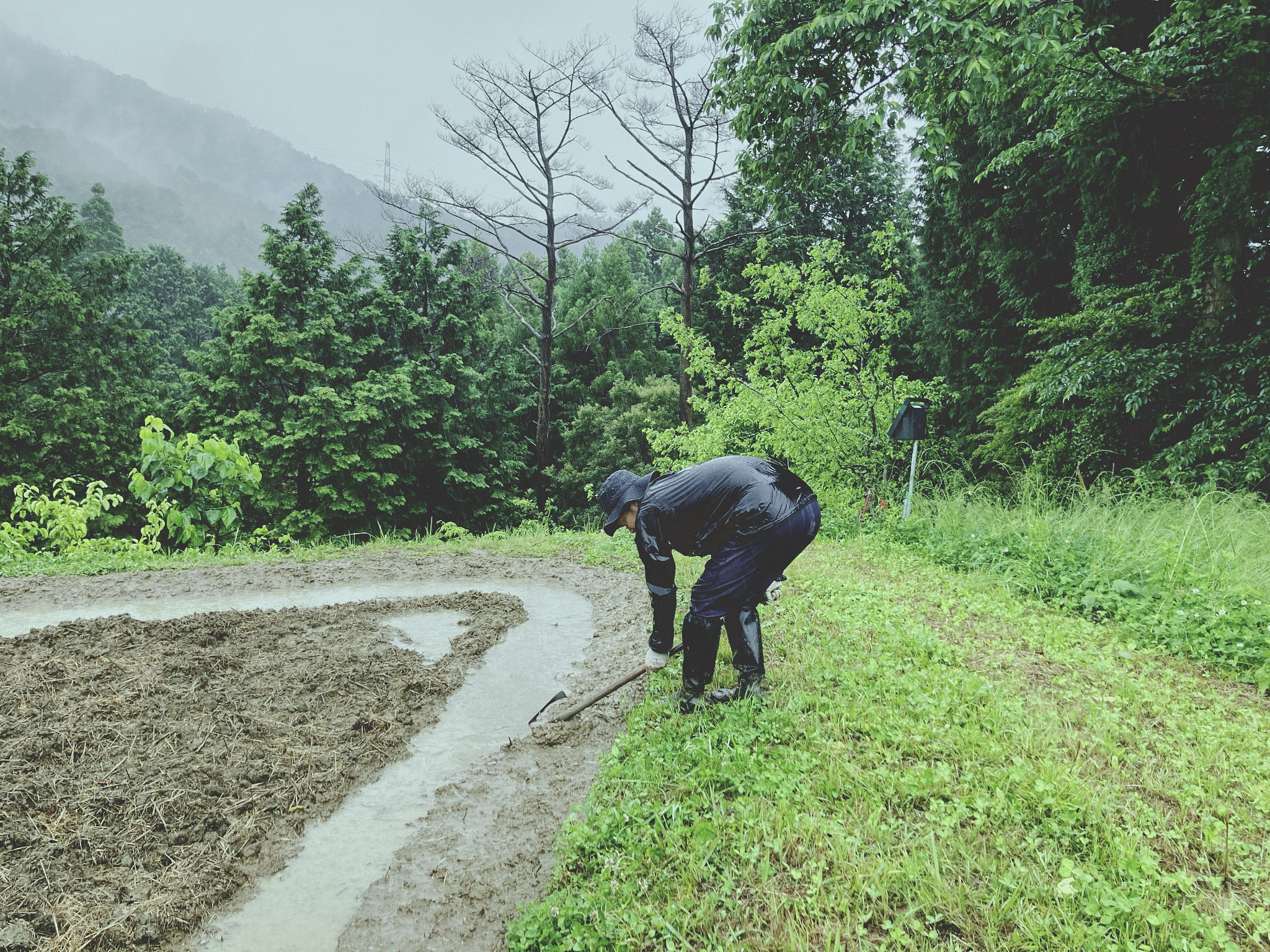 福津農園 Day62 雨の中の畦塗り、代掻きの一日